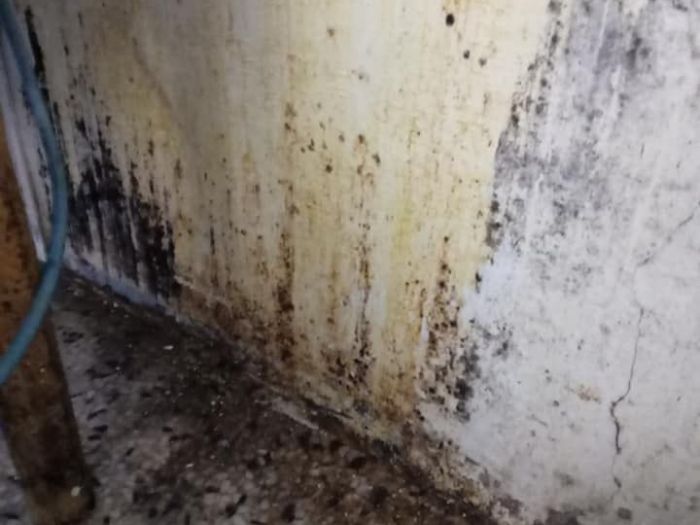 Archisio - Esseb Edilizia - Progetto Ristrutturazione