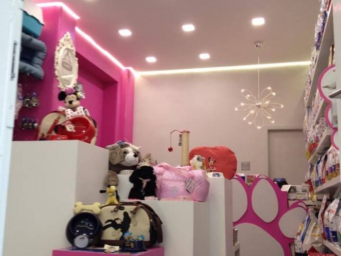 Archisio - Casesa Tiziano - Progetto Negozio farfulla animal chic