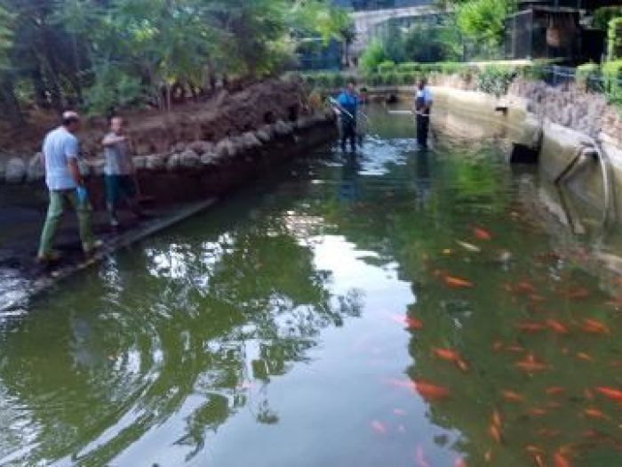 Archisio - New System Service Soc Cons Arl - Progetto Manutenzione opere pubbliche