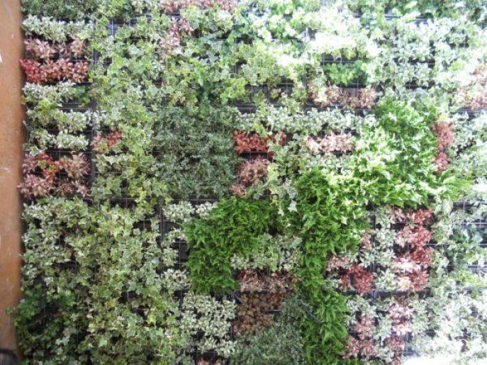 Archisio - Riccardo Traini - Progetto Verde verticale