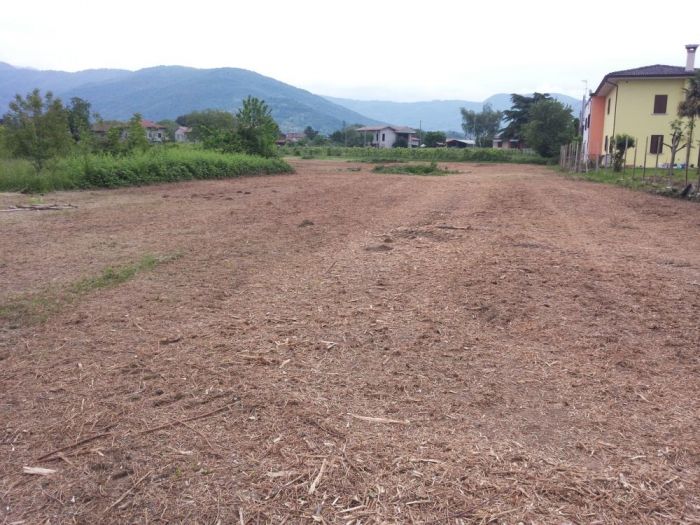 Archisio - Il Dottore Del Verde Di Bruno Barnaba - Progetto Trinciatura di aree incolte