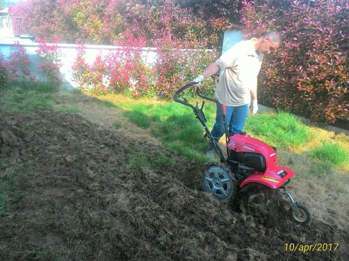 Archisio - Claudio Raiteri Verde Giardino - Progetto Fresatura
