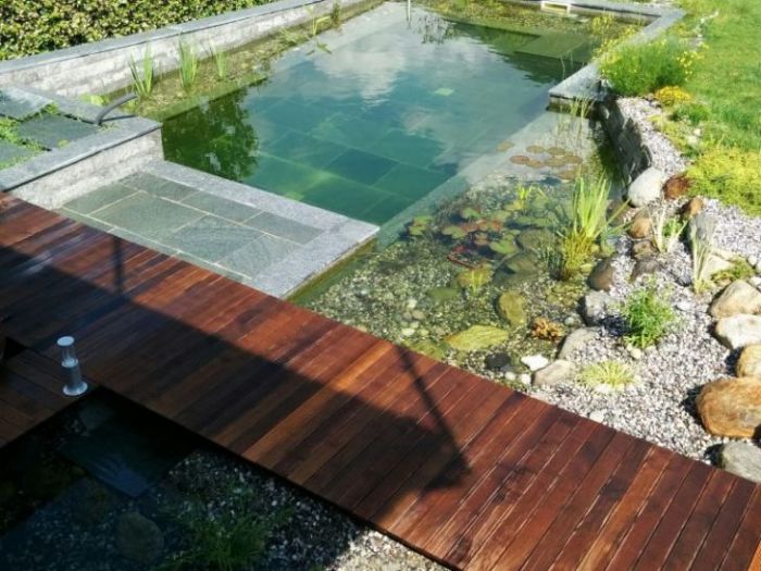 Archisio - Arqtropa Studio - Progetto Biopiscina