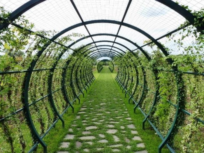Archisio - Lucrezia Didonna - Progetto Toscana tunnel verde