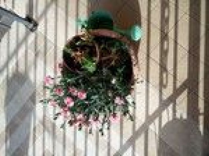 Archisio - Francesca Ianni - Progetto Interior design e outdoor