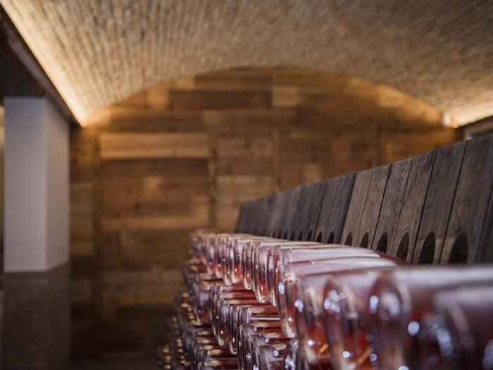 Archisio - Cristiano Todeschini - Progetto Cantina arredamento sistemazione agraria