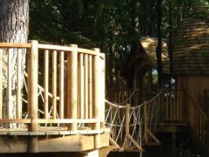 Archisio - White Oak Arkitecture By Thomas Allocca - Progetto Treehouses