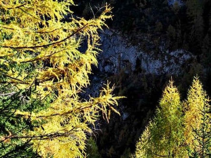 Archisio - Amp Studio Architettura Progettazione Ambientale - Progetto Progettazione ambientale