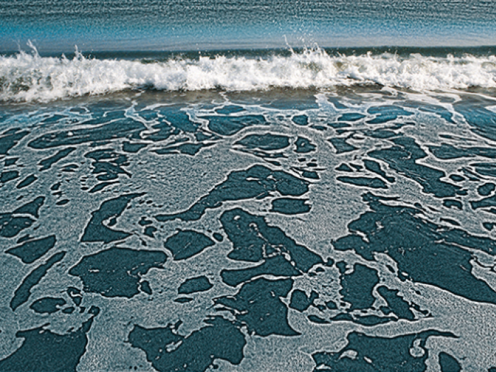 Archisio - Patrizia Savarese - Progetto Fotografia