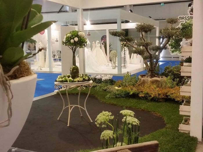 Archisio - Massarroni - Vivai Piante - Garden - Progetto Vivai e piante