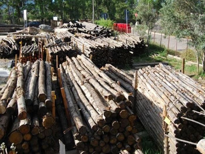 Archisio - Carta Legnami - Progetto Legname