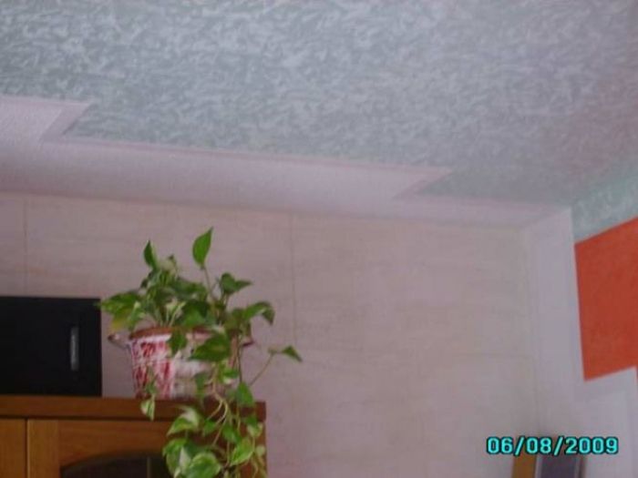 Archisio - Dipinture Vescovo - Progetto Massima seriet e professionalit