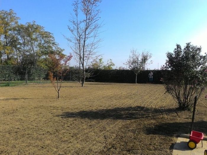 Archisio - Claudio Raiteri Verde Giardino - Progetto Irrigazione rigenerazione pratorigenerazione pratotree climbingisolamento solai