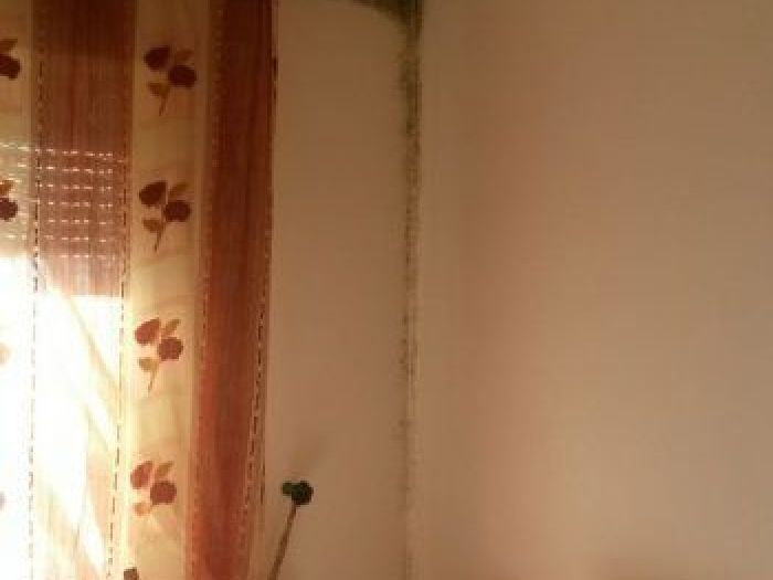 Archisio - Martina Ruberti - Progetto Nuova vita