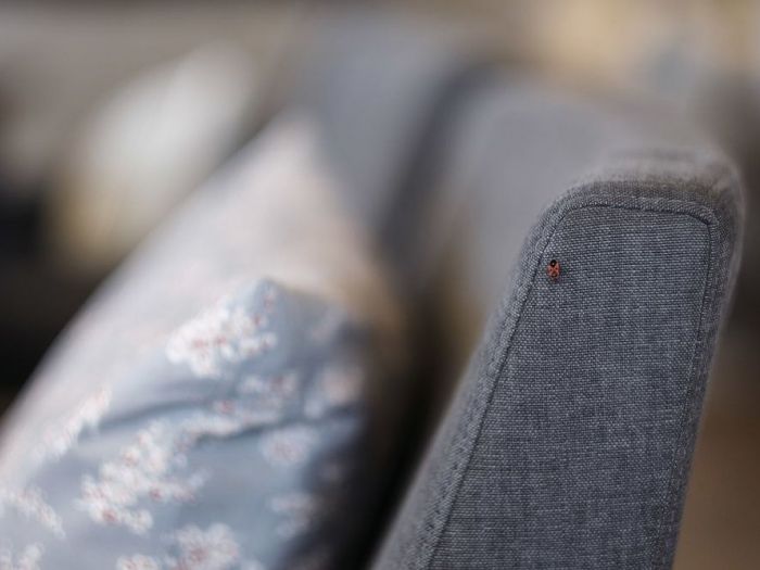 Archisio - Matteo Castelli Fotografia - Progetto Villa lari pisa toscana