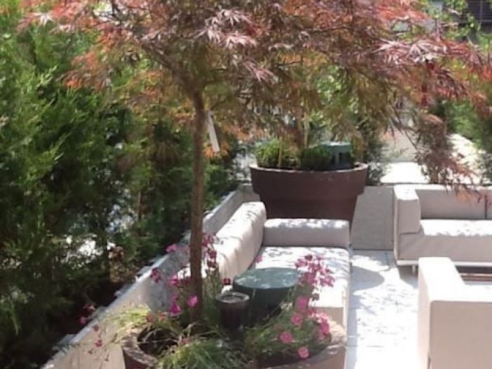 Archisio - Silvia Del Piano - Progetto Attico