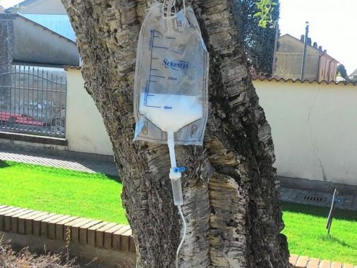 Archisio - Claudio Raiteri Verde Giardino - Progetto Endoterapia