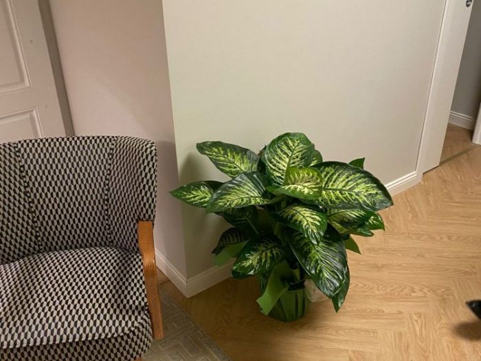 Archisio - Vendumm - Progetto Spc click spina di pesce italiana