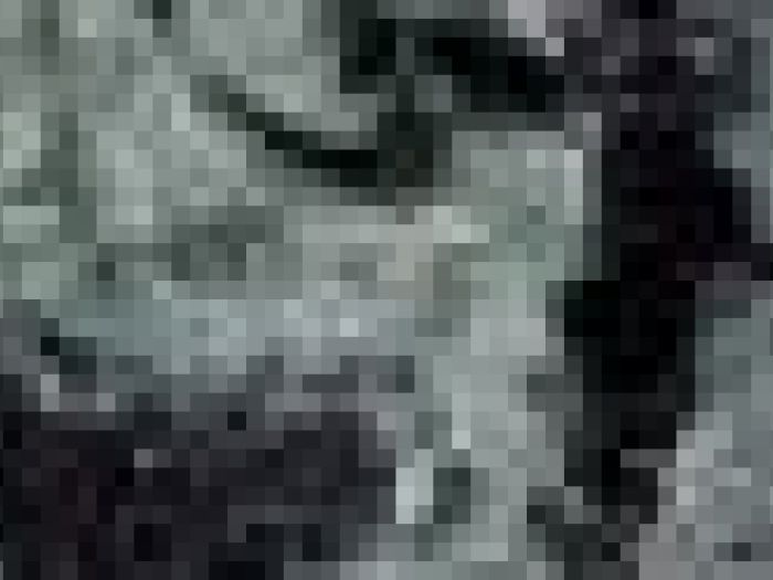 Archisio - Payanini The Stone Brand - Progetto Payanini