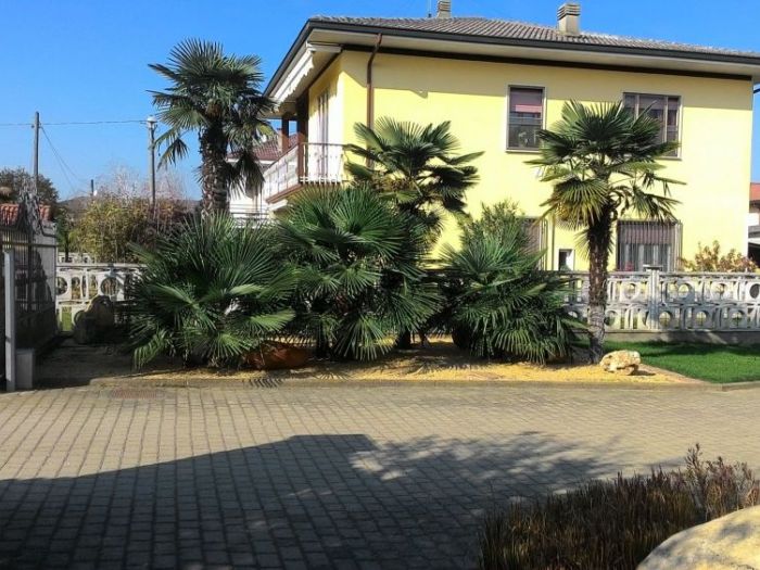 Archisio - Claudio Raiteri Verde Giardino - Progetto Irrigazione rigenerazione pratorigenerazione pratotree climbingisolamento solai