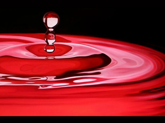 Archisio - Ornella Stingo - Progetto fluido notevole