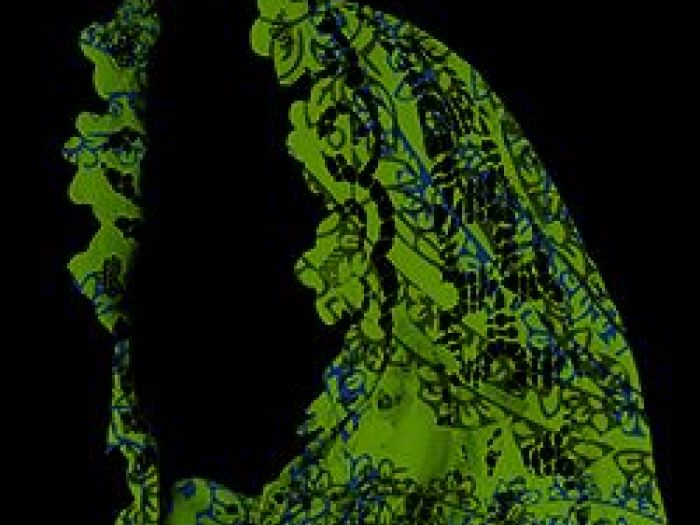 Archisio - Genesio Pistidda - Progetto Fotografie