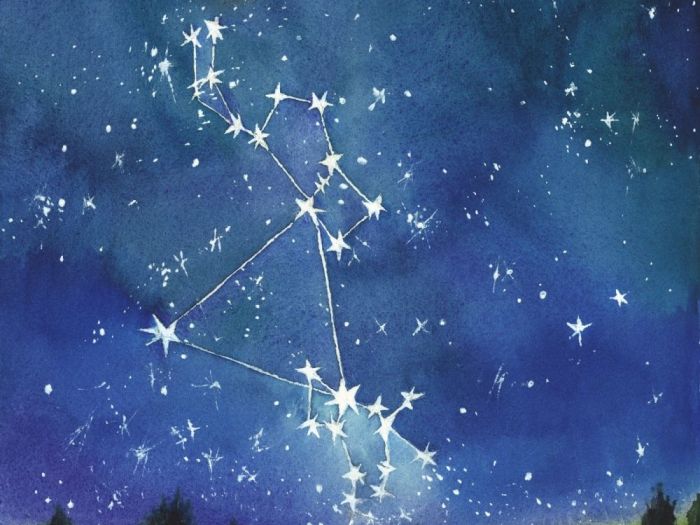 Archisio - Elisa Possenti - Progetto Stella cammina