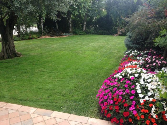 Archisio - Decorveronait - Progetto Potatura alberi e siepi