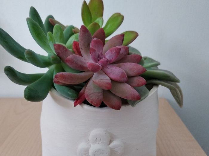 Archisio - Frisart - Progetto Vasi