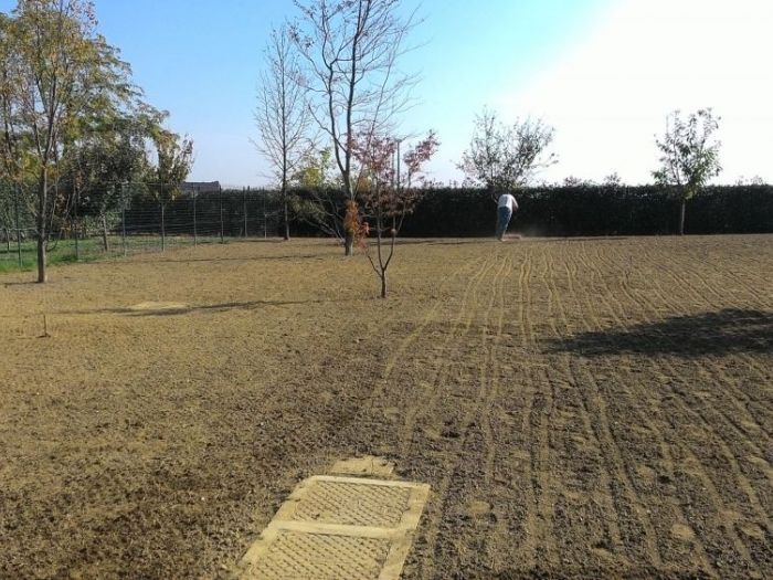 Archisio - Claudio Raiteri Verde Giardino - Progetto Irrigazione rigenerazione pratorigenerazione pratotree climbingisolamento solai