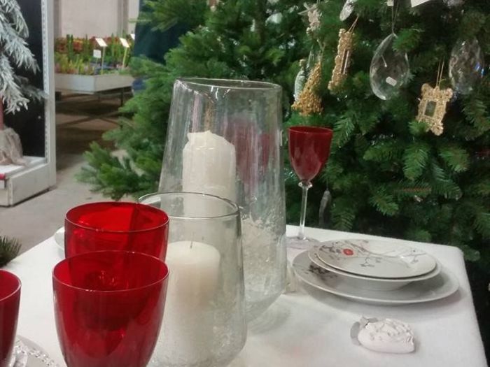 Archisio - Massarroni - Vivai Piante - Garden - Progetto Vivai e piante