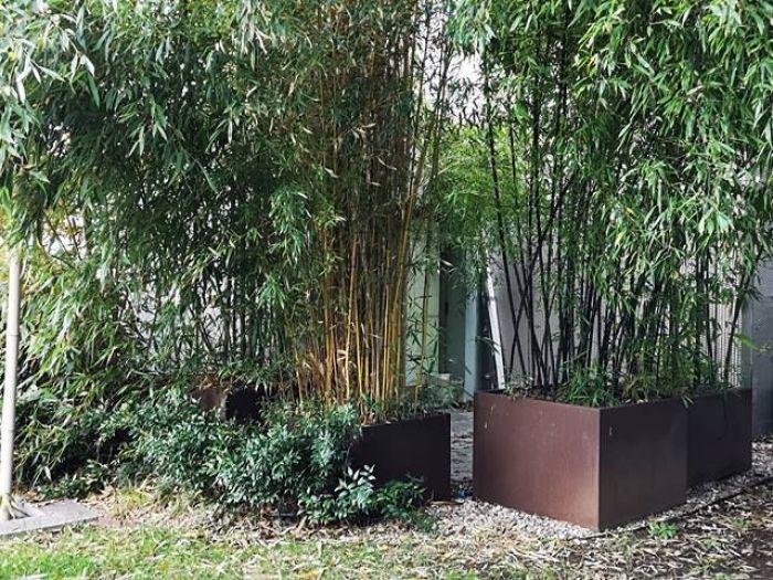 Archisio - Studio Mama - Progetto Giardini esterni