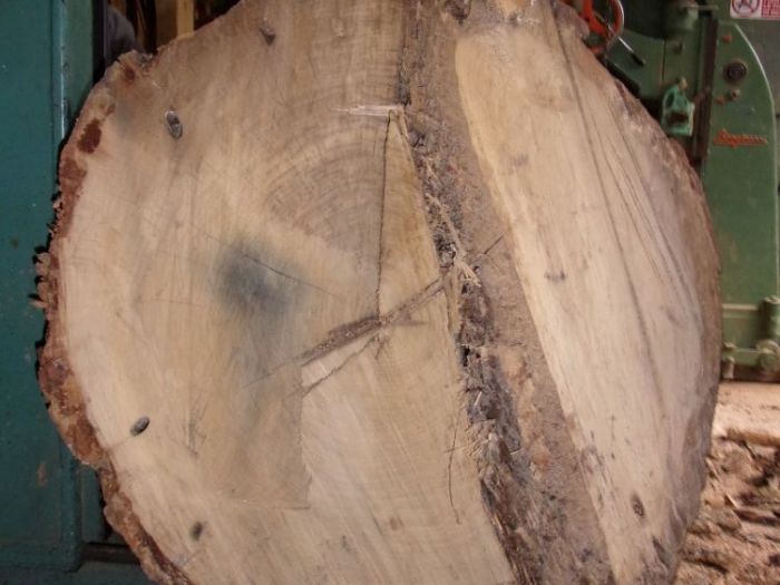 Archisio - Falegnameria Ferruzzi - Progetto Segheria