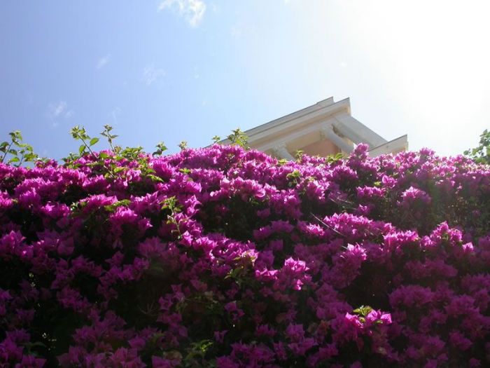 Archisio - Carlo Maria Maggia - Progetto Giardini