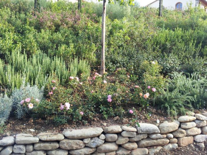 Archisio - Lidea Verde Snc Di Bandini Fabio C - Progetto Giardini