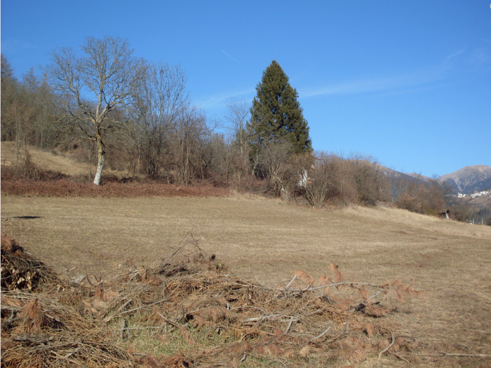 Archisio - Archipaglia Invenzioni Darchitettura - Progetto Case