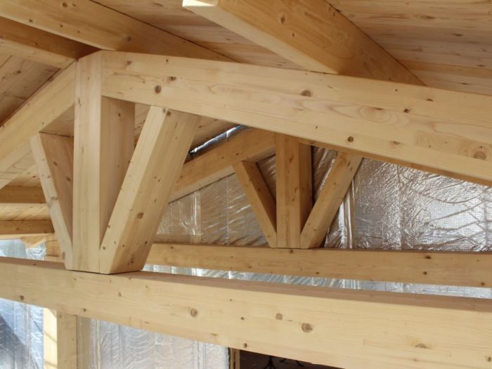 Archisio - Federica Mandato - Progetto Abitazione unifamiliare ex-novo - area montana - residenza m