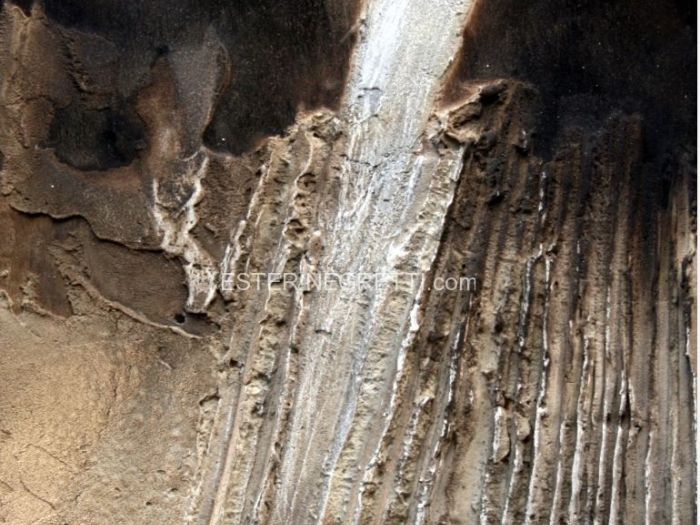 Archisio - Ester Maria Negretti - Progetto ESTER MARIA NEGRETTI