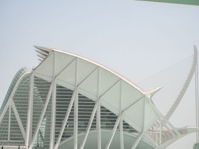 Archisio - Vittoria Fenati Morace - Progetto Valencia