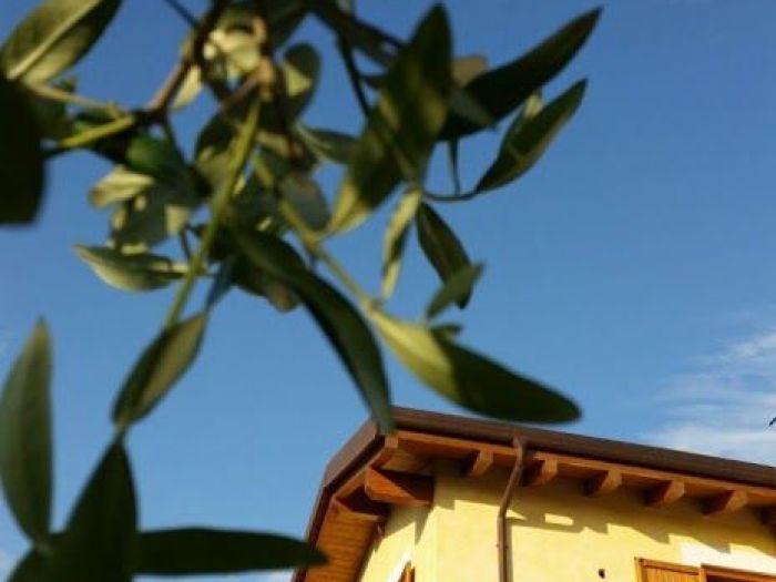 Archisio - Biocasazero Srl - Progetto Palazzina in bioedilizia