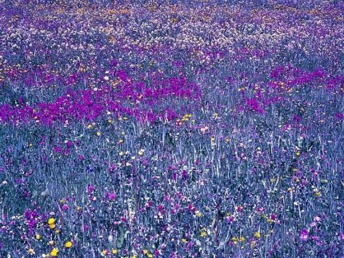 Archisio - Alev Studio8 - Progetto Fotografie darte