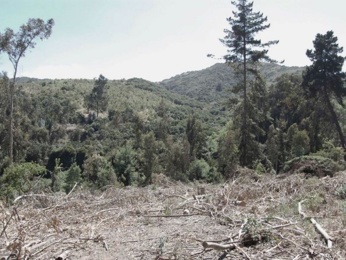 Archisio - Andearchitettura - Progetto Architettura