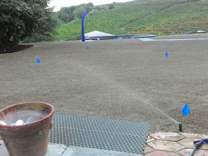 Archisio - Claudio Raiteri Verde Giardino - Progetto Irrigazione rigenerazione pratorigenerazione pratotree climbingisolamento solai