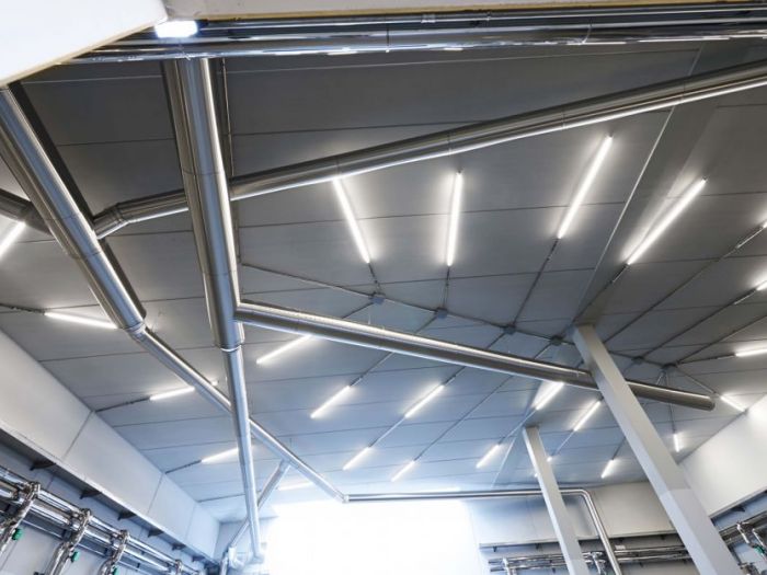 Archisio - Manuel Benedikter - Progetto Vineyard cobue