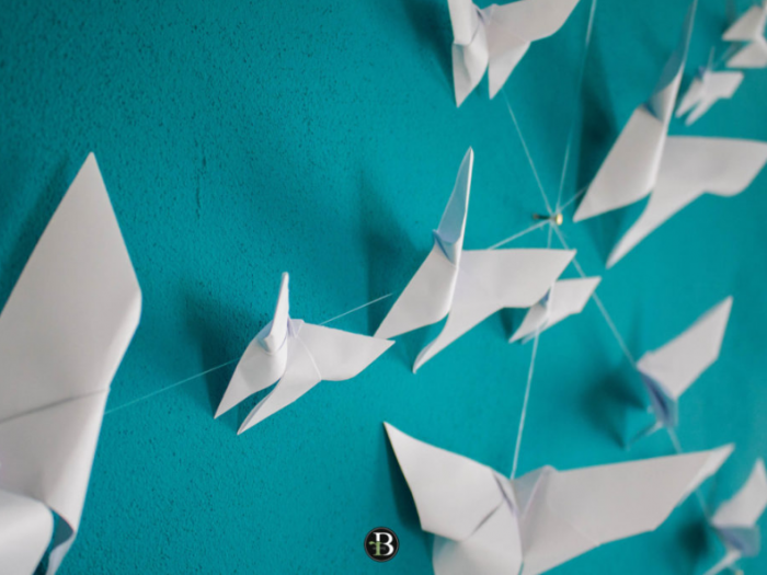 Archisio - Roberta Bossolasco - Progetto Lorenza