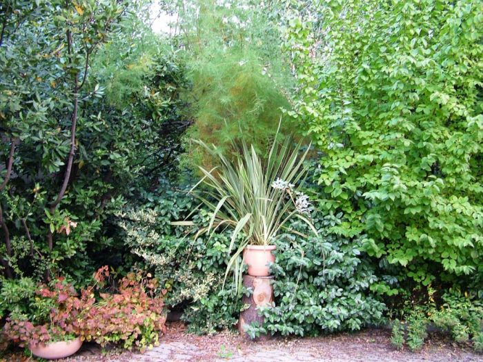 Archisio - Luca Righetto - Progetto Progettazione giardini varese busto arsizio Scompigliate seduzioni