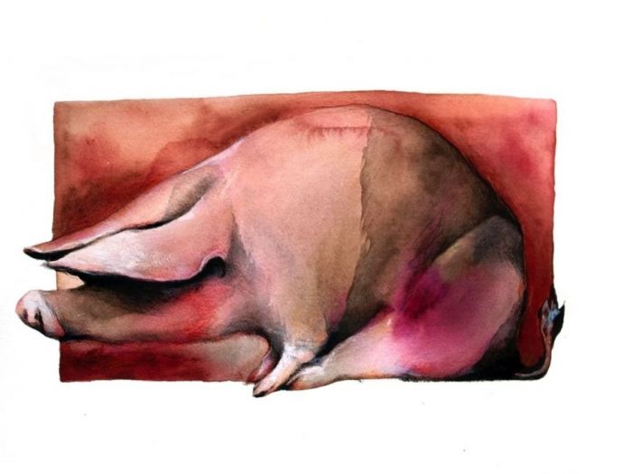 Archisio - Elisa Possenti - Progetto Tutti i maiali del mondo