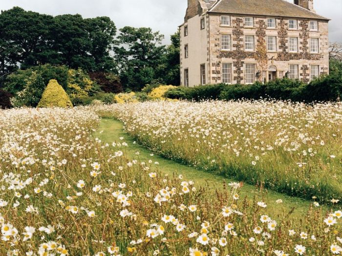 Archisio - Claudia Dibbe Piazza - Progetto Storica dellarte ed ingegnere agronomo Paesaggismo e home decor counselling