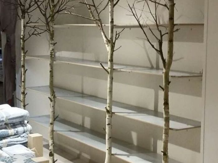 Archisio - Stefano Mazzucchetti - Progetto Negozio intimo per casa