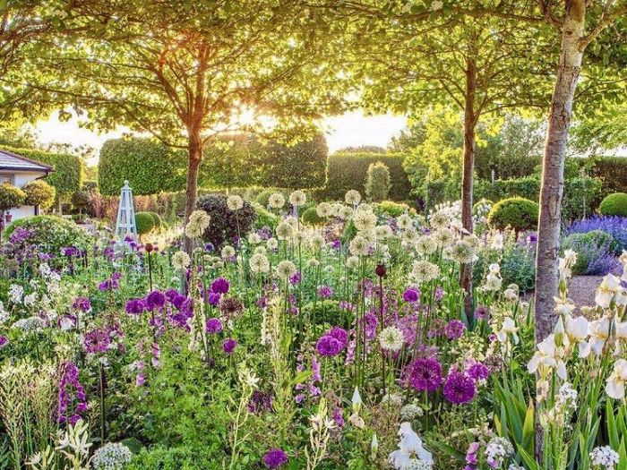 Archisio - Claudia Dibbe Piazza - Progetto Allinsegna di piet oudolf